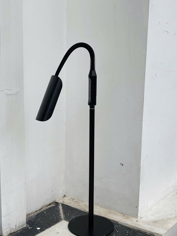 ĐÈN CÂY LED TAOTRONICS TT-DL060