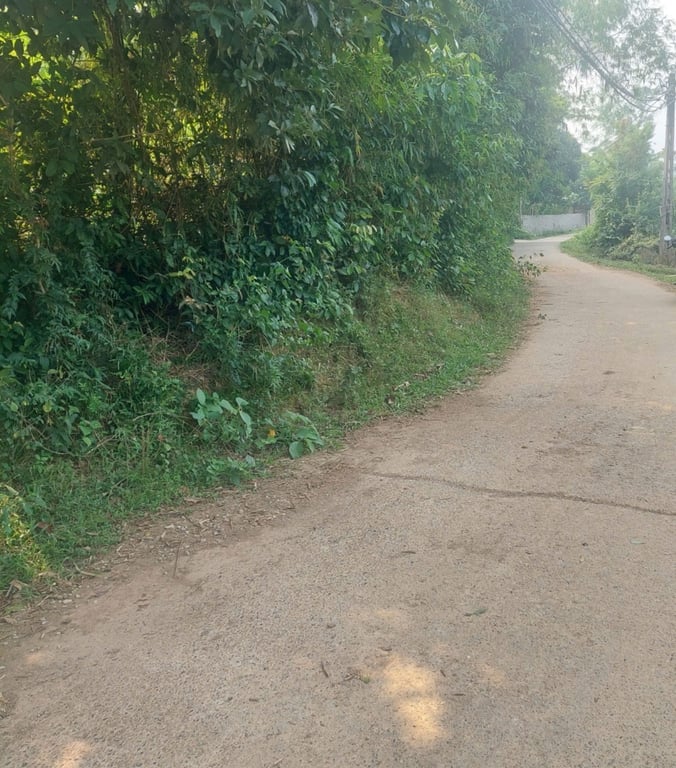 1048m2 có 300m2 thổ cư tại Lạc Thuỷ ,Hoà Bình