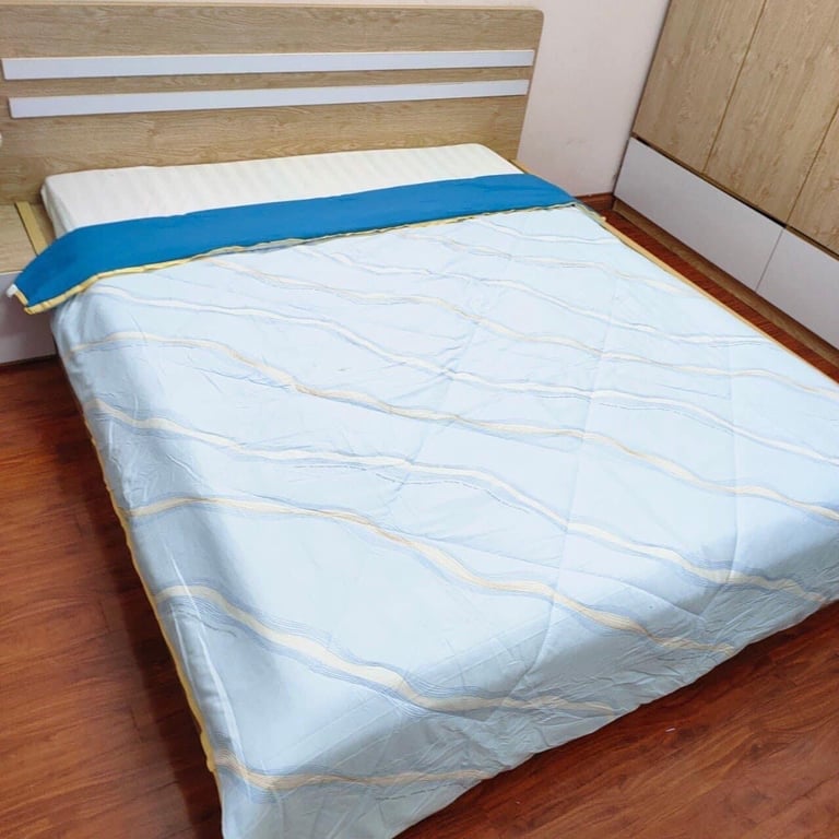 Chăn hè trần bông cotton họa tiết 2mx2m2 Dream Nishikwa