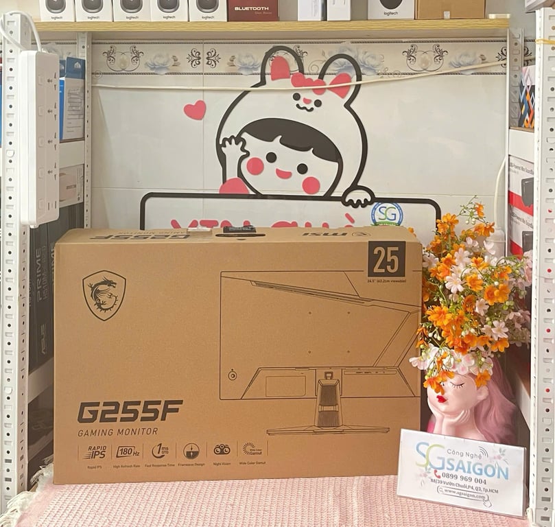 Màn Hình MSI G255F (24.5 inch/ FHD/ Rapid IPS/ 180Hz/ 1ms)