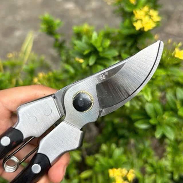 Kéo cắt cành japan