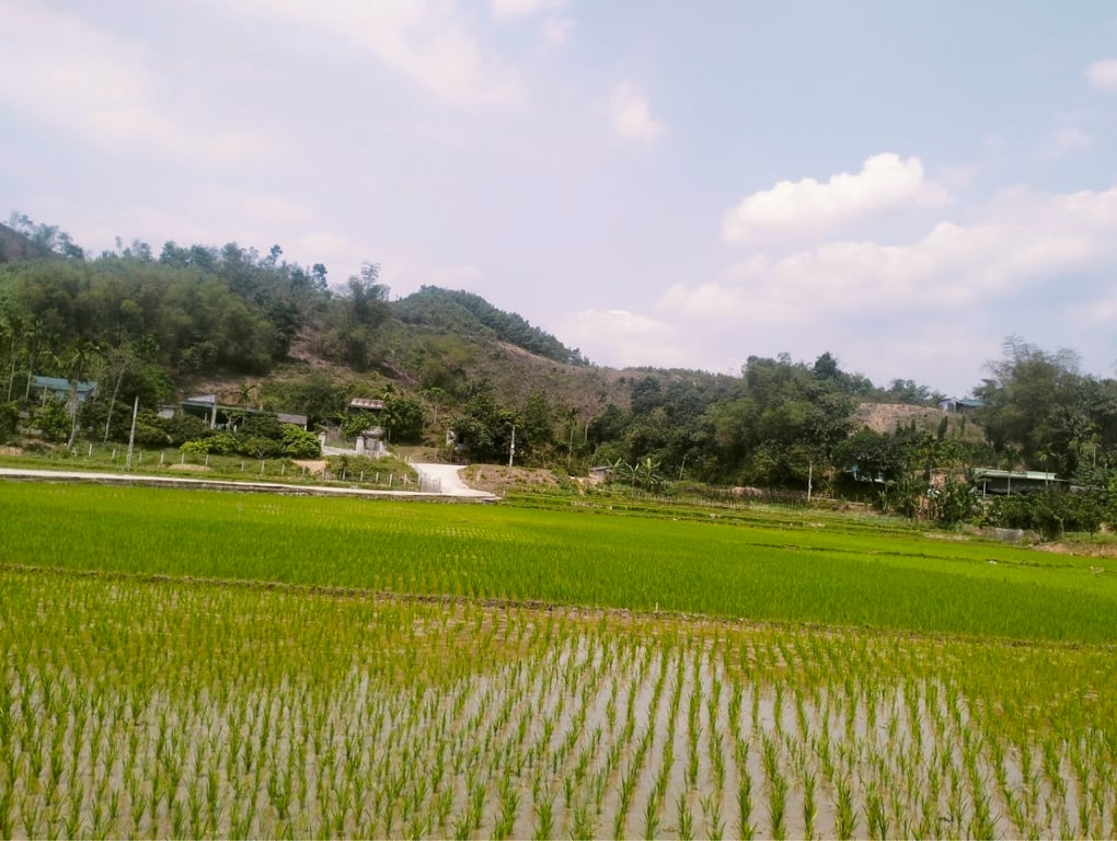 Lô góc hai mặt tiền siêu đẹp hơn 1000m2 có 700m2 thổ cư tại Kim Bôi, Hoà Bình