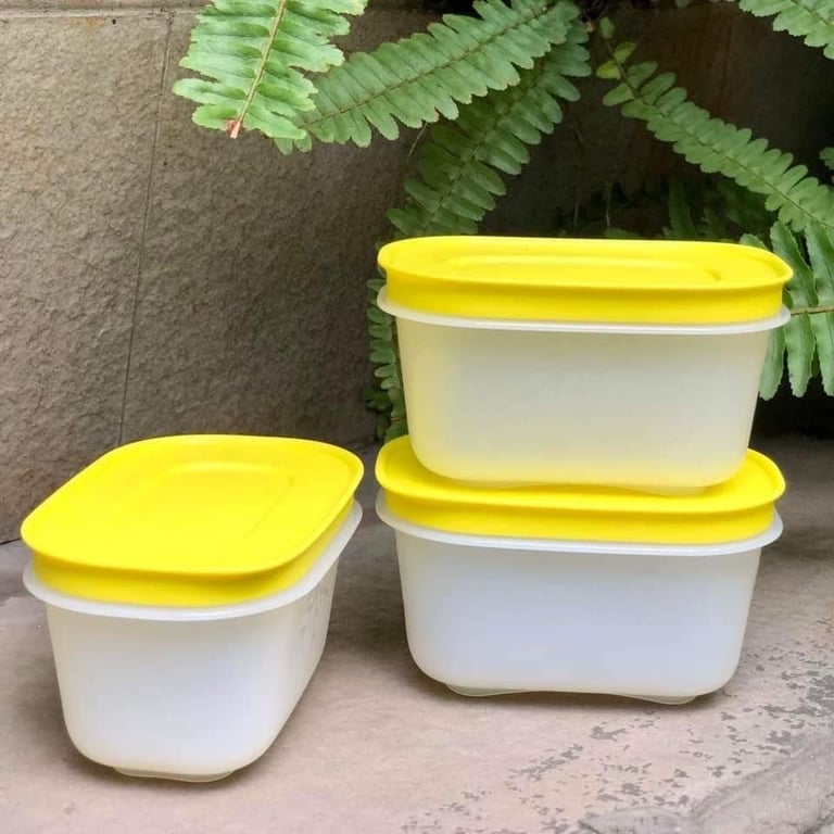Set 6 Hộp trữ đông mini 170ml tupperware