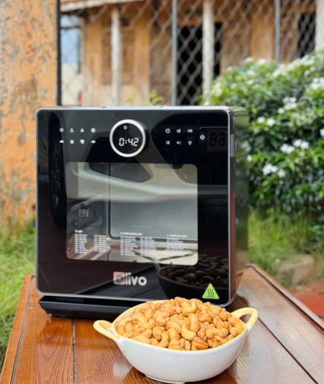 Nồi chiên hơi nướcOlivo F16pro