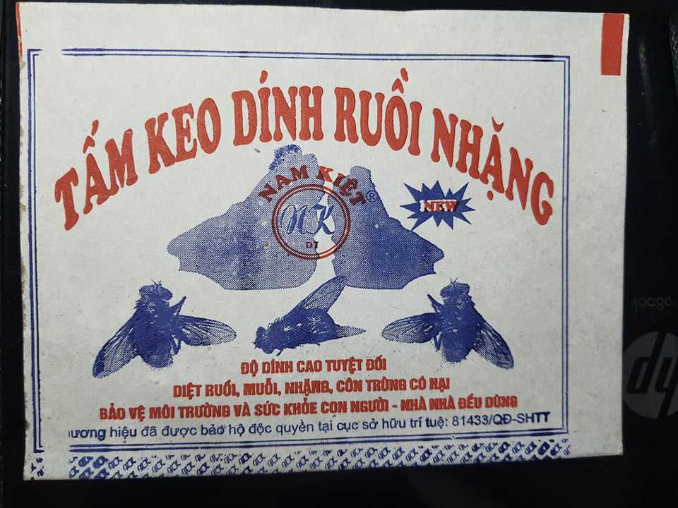 Dán ruồi