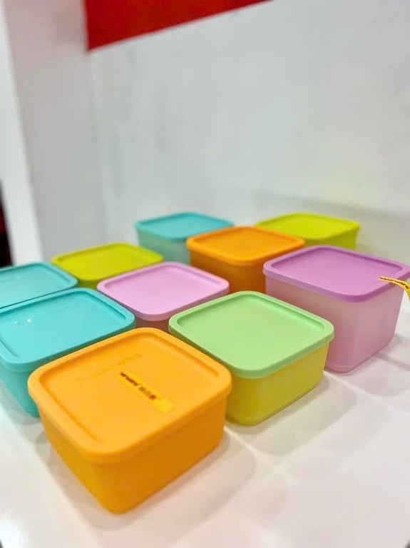 Set 10 hộp Tupper ware ngăn mát cao cấp TUP10