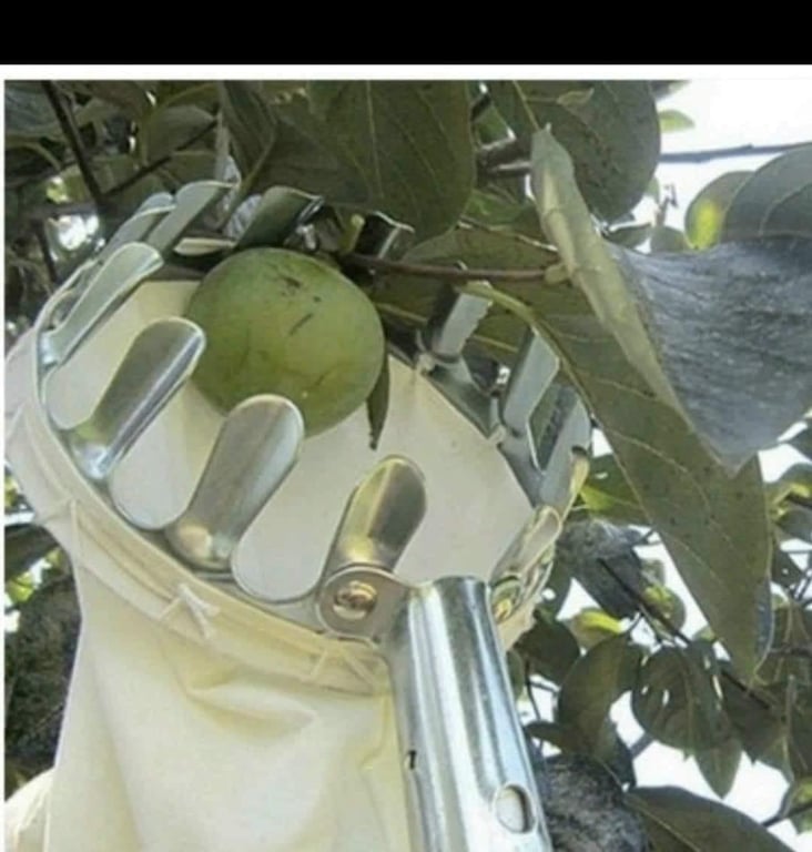 Vợt Hái Trái Cây Đa Năng Tiện Dụng