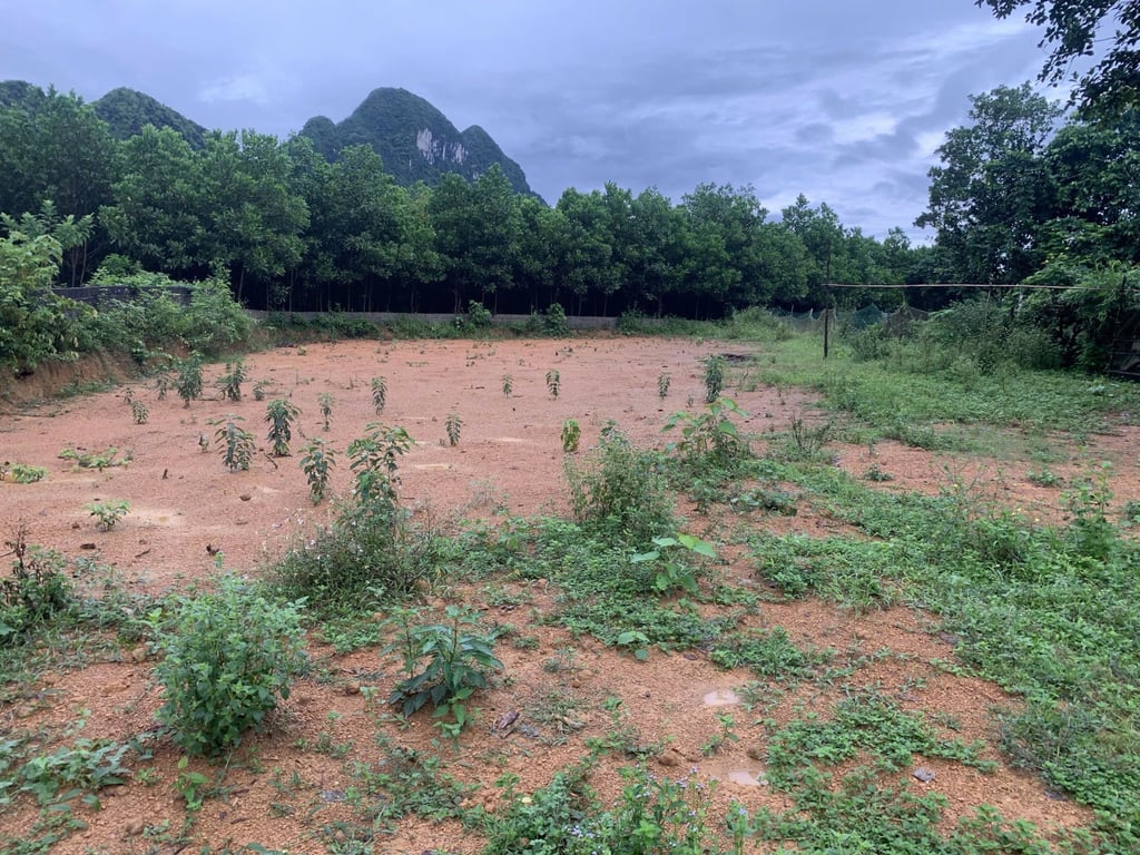 1048m2 có 300m2 thổ cư tại Lạc Thuỷ ,Hoà Bình