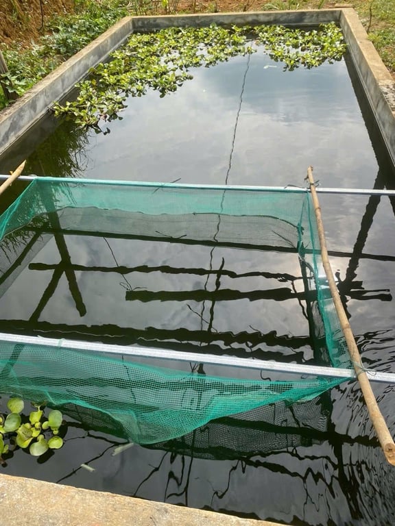 Diện tích: 617,2m2 có 423,5m2 thổ cư sẵn Nhà mới xây tại Hợp Phong, Cao Phong, Hoà Bình