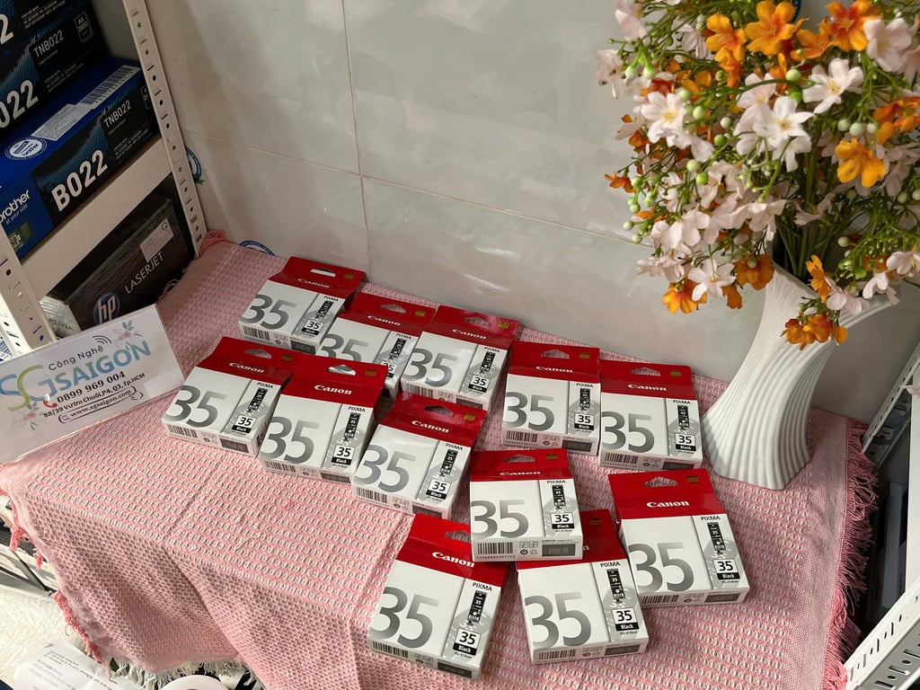 Hộp Mực Màu Đen Canon PGI-35 PGBK