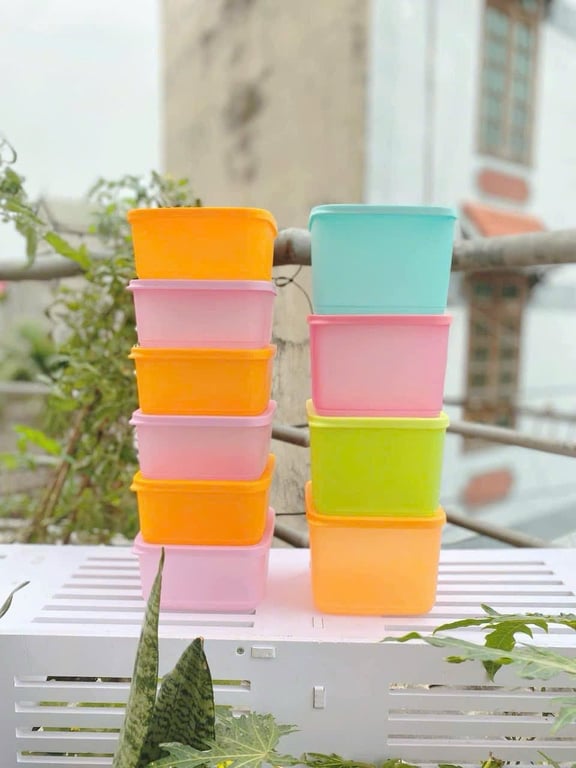 Set 10 hộp Tupper ware ngăn mát cao cấp TUP10