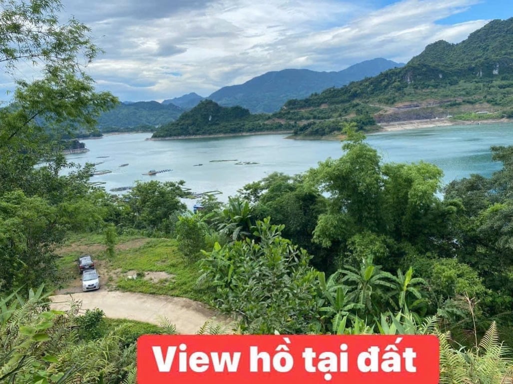 2740m2 có 400m2 ONT tại Bản Ngòi, Suối Hoa,Tân Lạc, Hoà Bình