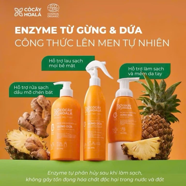 Bộ sản phẩm Nhà sạch bếp thơm Gừng Dứa CỎ CÂY HOA LÁ