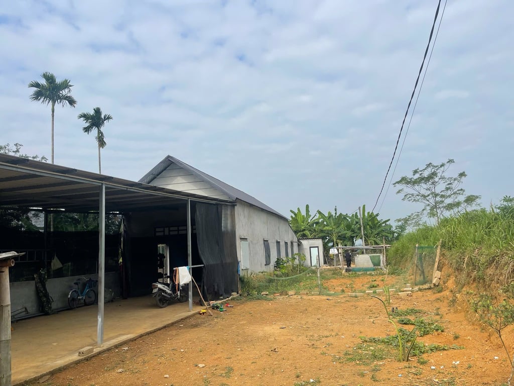 Diện tích: 617,2m2 có 423,5m2 thổ cư sẵn Nhà mới xây tại Hợp Phong, Cao Phong, Hoà Bình