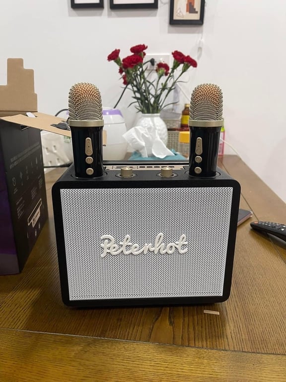 LOA BLUETOOTH NGHE NHẠC KHÔNG DÂY TẶNG KÈM 2 míc cực đã !!