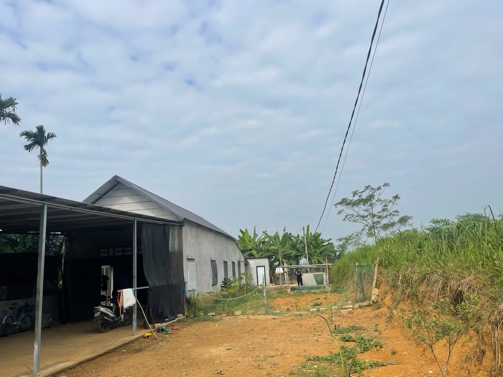 Diện tích: 617,2m2 có 423,5m2 thổ cư sẵn Nhà mới xây tại Hợp Phong, Cao Phong, Hoà Bình