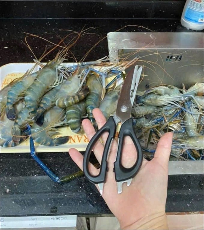 𝗞𝗲́𝗼 đ𝗮 𝗻𝗮̆𝗻𝗴 𝗣𝗿𝗼-𝗔𝘀𝗶𝗮𝗻 TUPPERWARE