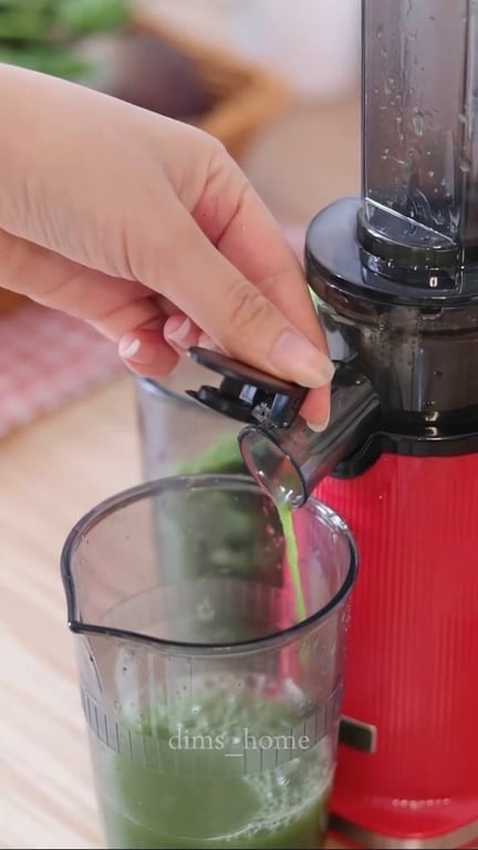 Máy ép chậm mini 3s Lazychef