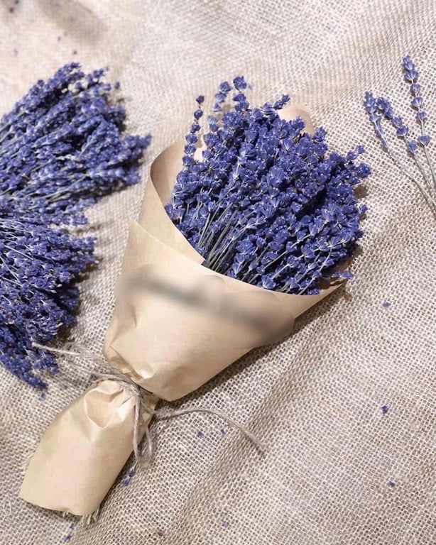 Set 2 bó Hoa Oải Hương Lavender Nhập Khẩu