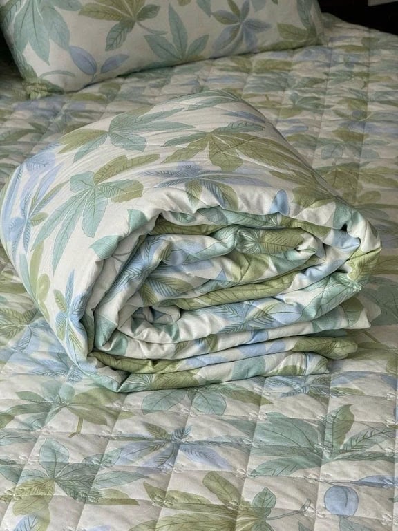 Ga chần bông có bo chun, kèm 2 vỏ gối (50x70cm)