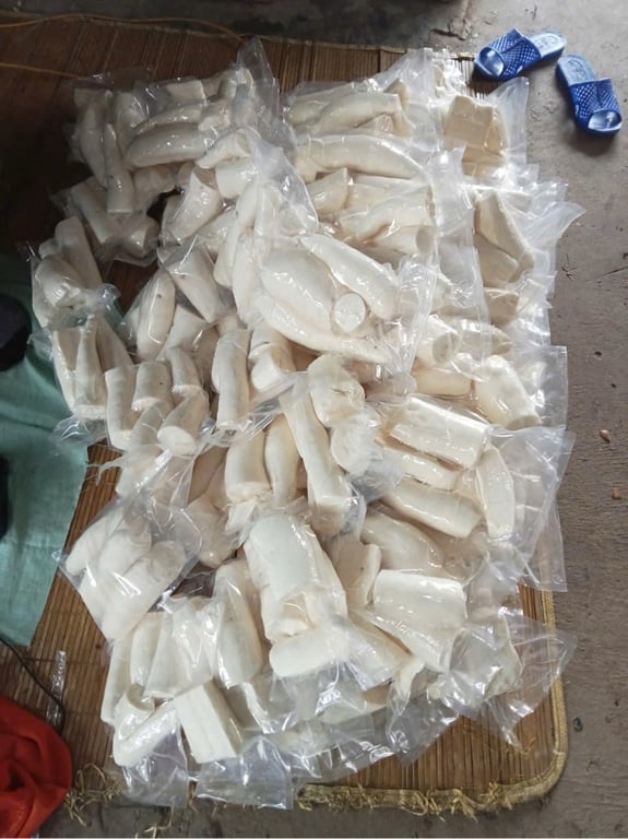 Sắn Nếp Điện Biên