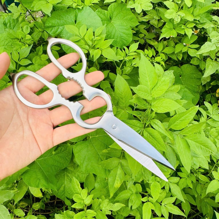 OYT694 - KÉO OYATTON XUẤT ẤN