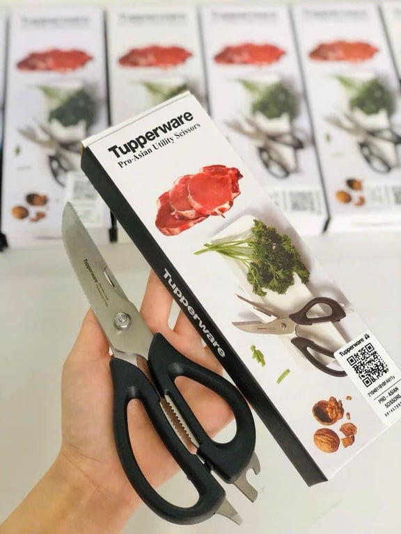 𝗞𝗲́𝗼 đ𝗮 𝗻𝗮̆𝗻𝗴 𝗣𝗿𝗼-𝗔𝘀𝗶𝗮𝗻 TUPPERWARE