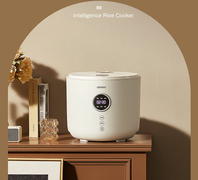NỒI CƠM ĐIỆN OIDIRE 2L
