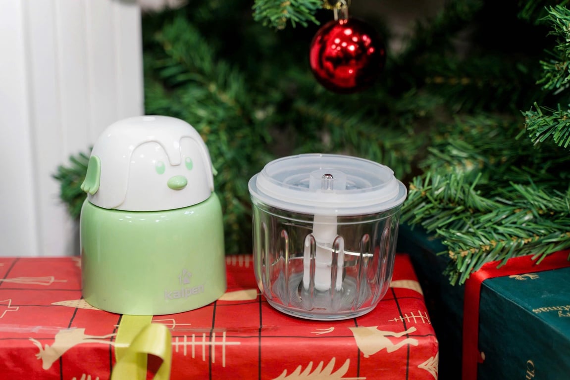 MÁY XAY THỊT MINI ĐA NĂNG KALPEN OL2