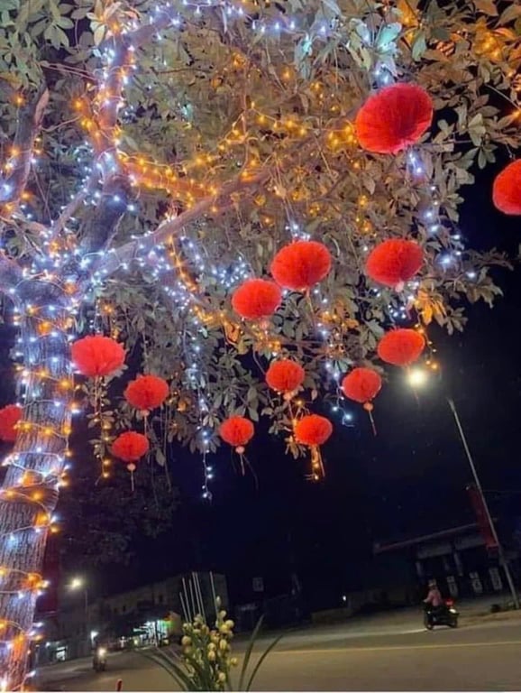 COMBO 20 LỒNG ĐÈN GIẤY ĐỎ 25CM