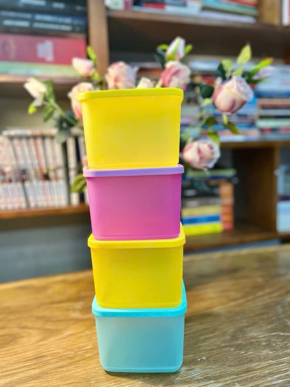 Set 10 hộp Tupper ware ngăn mát cao cấp TUP10