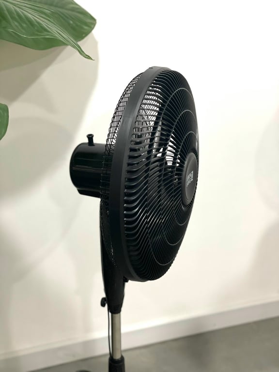 Quạt cây 3 cánh Lebenlang LBL1862 𝐤𝐡𝐨̂𝐧𝐠 đ𝐢𝐞̂̀𝐮 𝐤𝐡𝐢𝐞̂̉𝐧