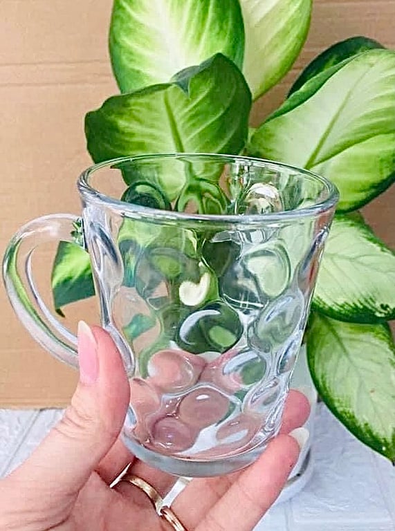 Bộ 2 cốc Hàn Quốc Glasslock 280ml