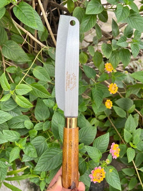 Dao Đa Sỹ sz 20cm