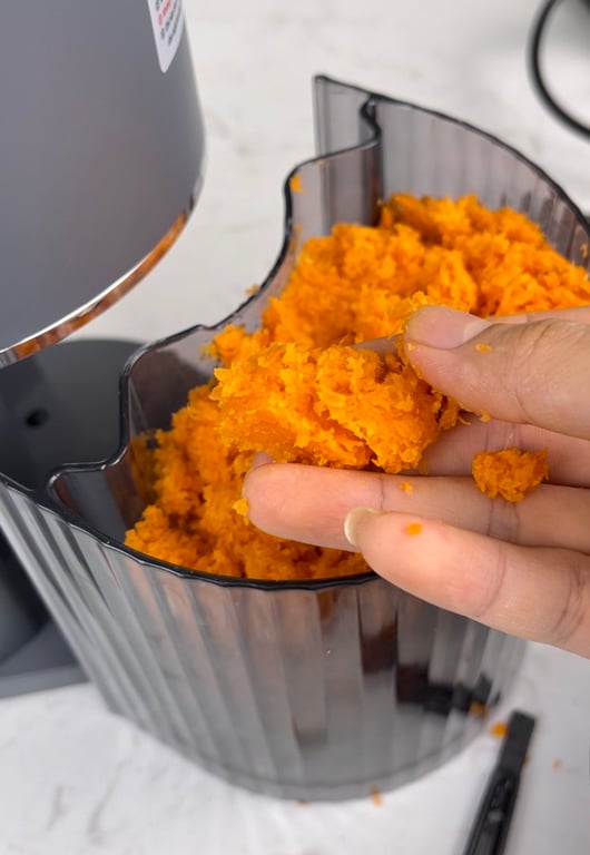 MÁY ÉP CHẬM KALPEN J6