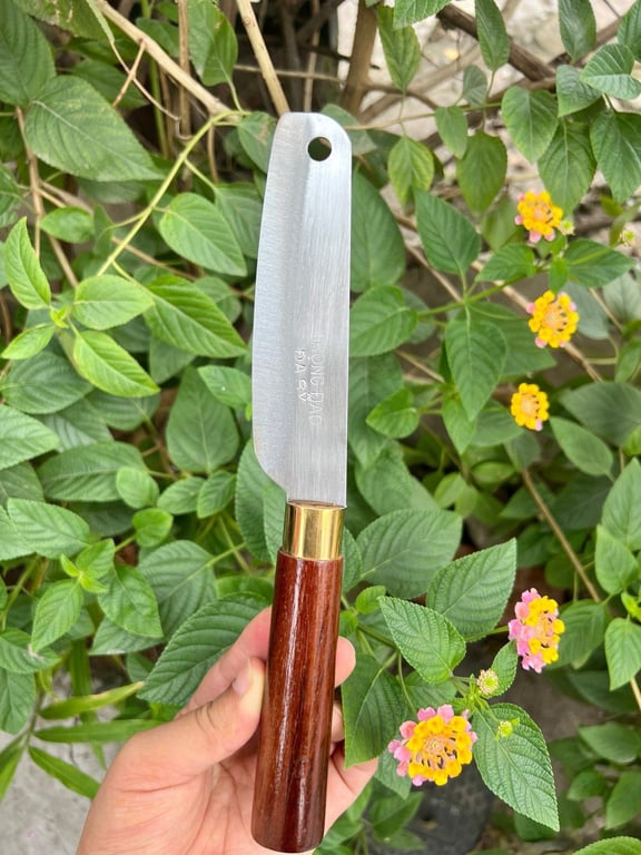 Dao Đa Sỹ sz 20cm