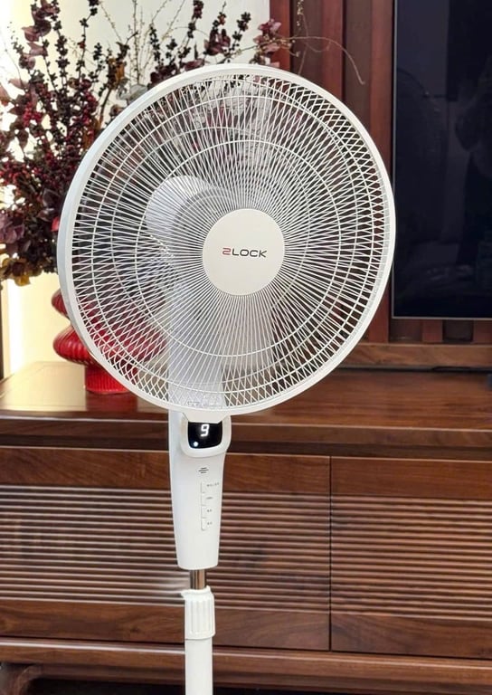 Quạt cây 2Lock🧸nội địa Hàn