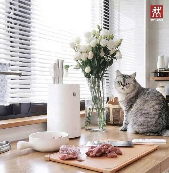 Bộ 6 dao kèm hộp tiệt trùng Zwilling chính hãng