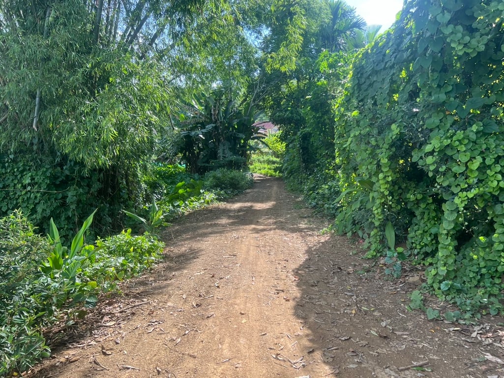 3830 m2 có 2000 m2 thổ cư tại Yên Thuỷ, Hoà Bình