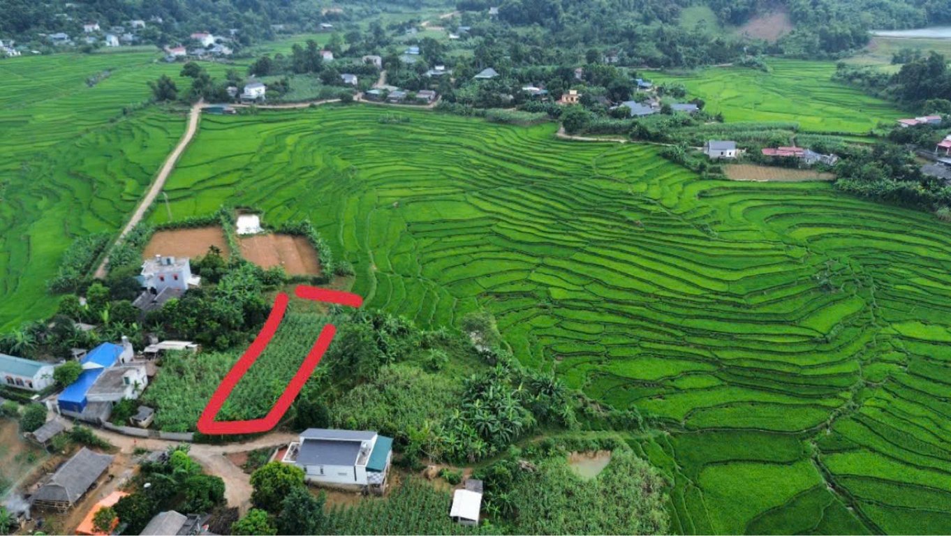 Diện tích 920m2, có 450m2 ONT tại xóm Rú, Hợp Phong, Cao Phong, Hoà Bình