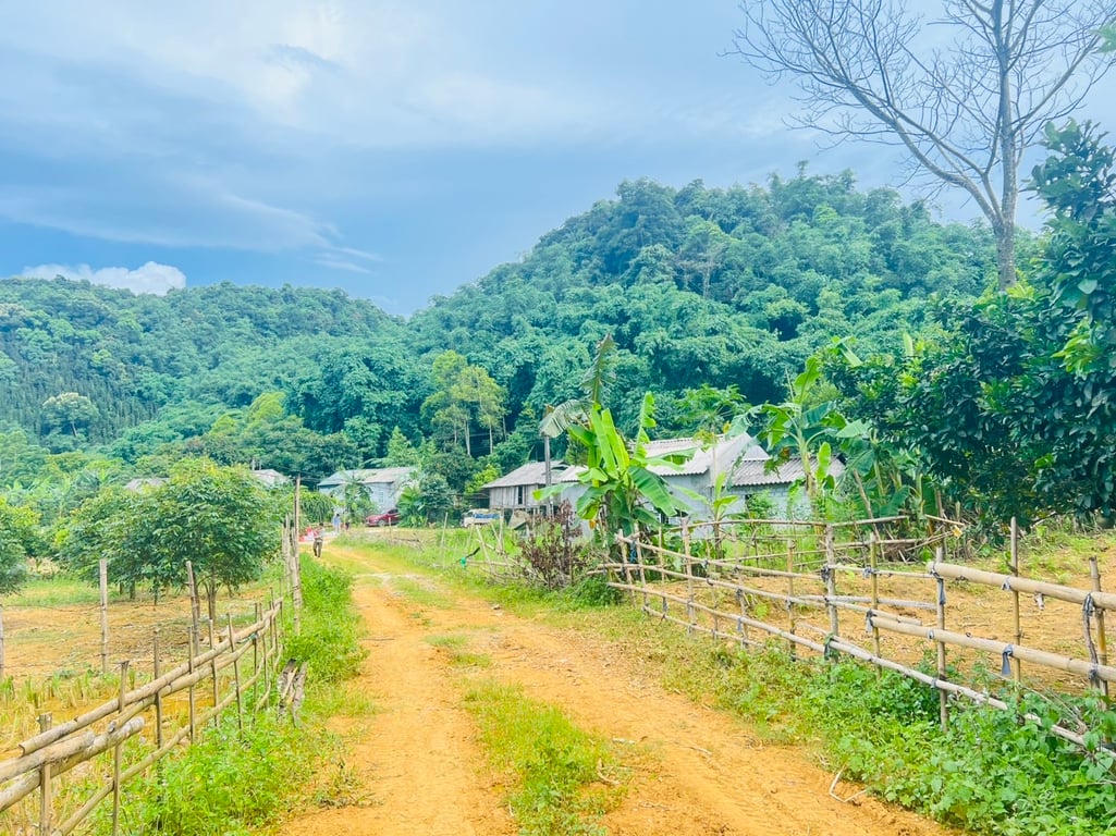 1500m2-200m2 ONT tại Phú Cường, Tân Lạc, Hoà Bình