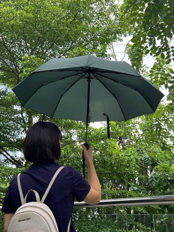 Ô gấp tự động 2 chiều 10 nan kaiyo