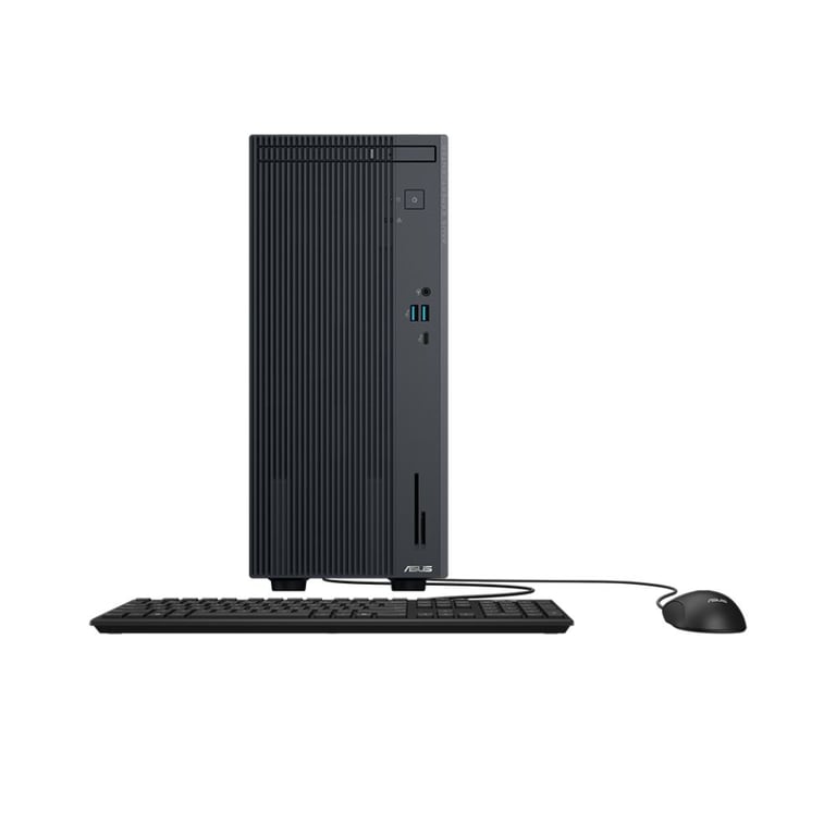Máy tính để bàn ASUS P500MV-31315U041W