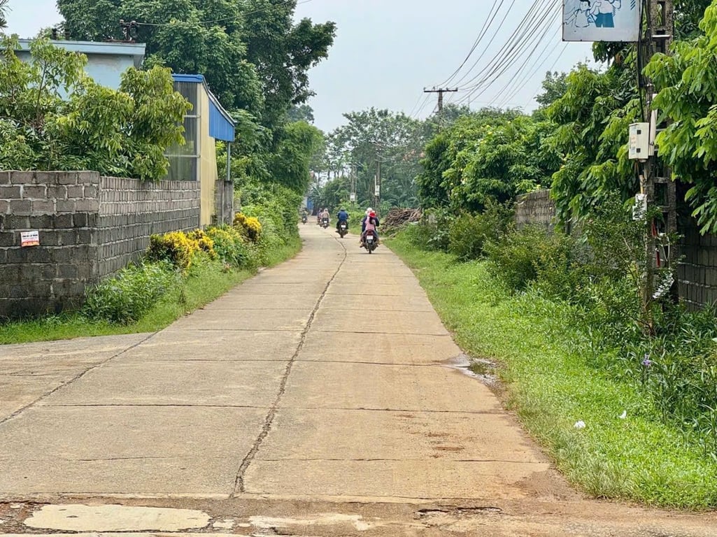 161m2 có 156m2 thổ cư tại Thanh Sơn, Lương Sơn, Hoà Bình, cách Hà Đông hơn 40km