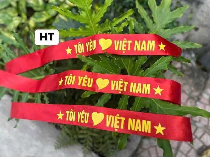 Set 10 băng đô “Tôi yêu Việt Nam"