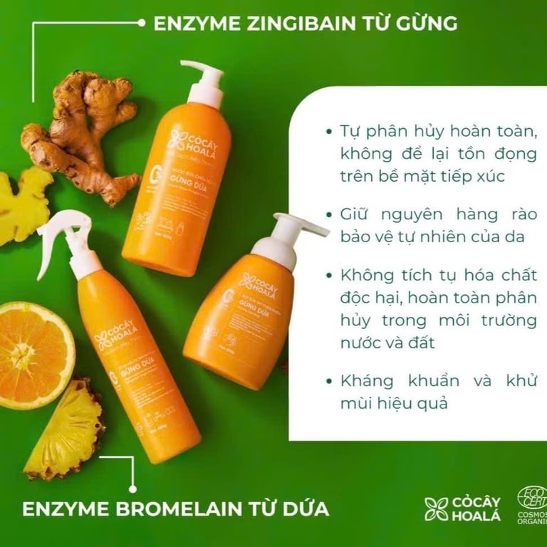 Bộ sản phẩm Nhà sạch bếp thơm Gừng Dứa CỎ CÂY HOA LÁ