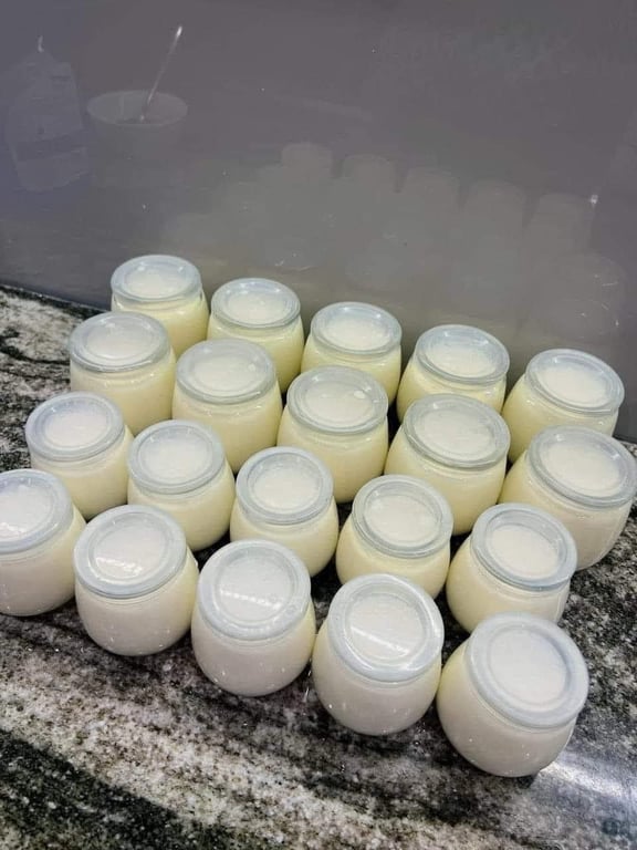 MÁY LÀM SỮA CHUA THÔNG MINH NHẬT BẢN 3 NẤC