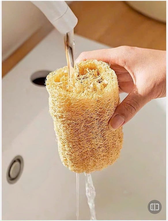 Combo 5 miếng xơ mướp khô xuất