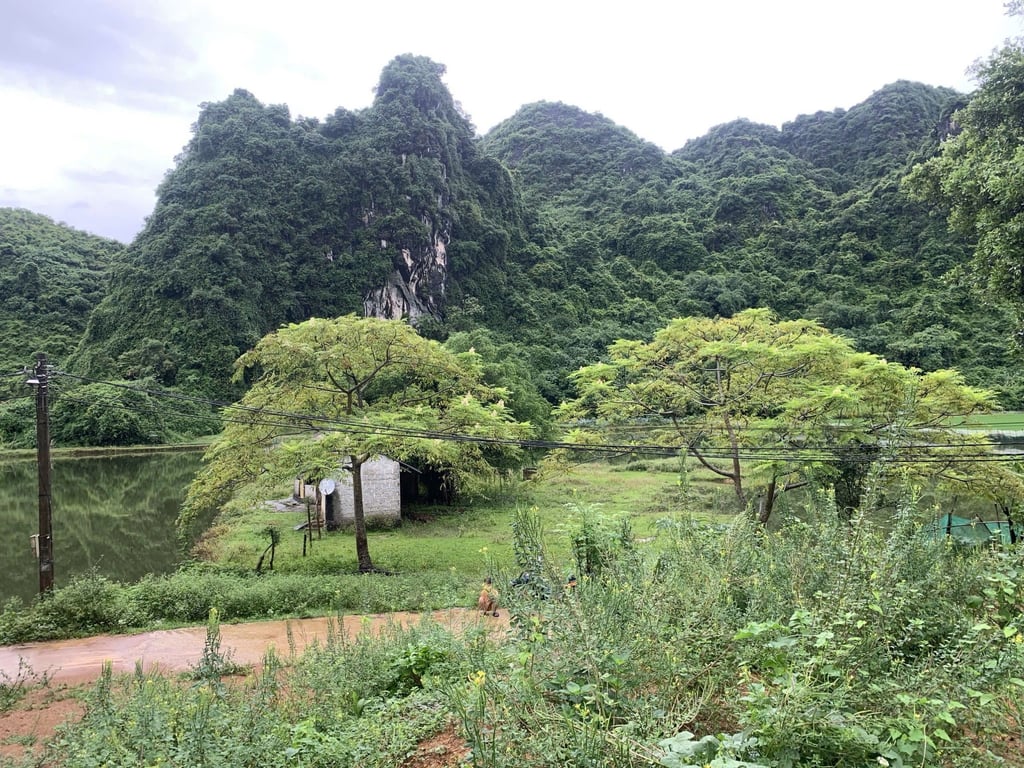1048m2 có 300m2 thổ cư tại Lạc Thuỷ ,Hoà Bình