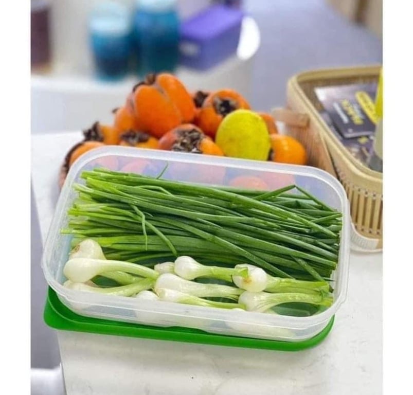 Hộp trữ mát có nút hô hấp ventsmart  1.8L thấp